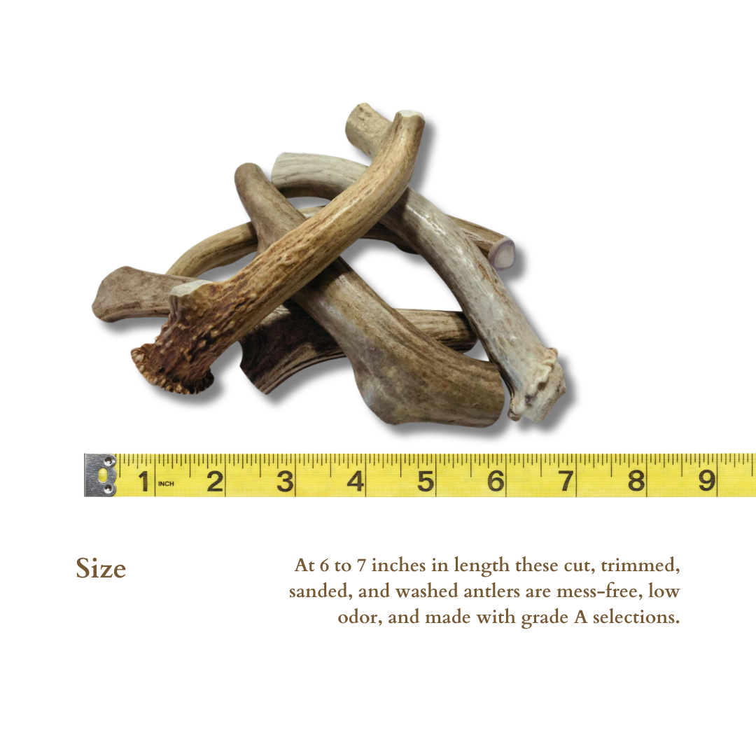 1 Pound Pack Bulk | Premium Deer Antler Chews