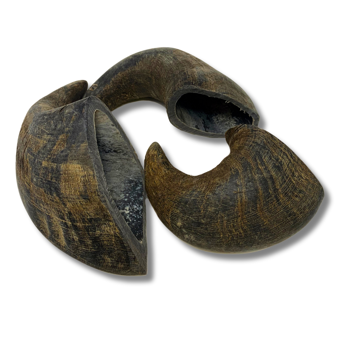 3 Pack - Medium | Buffalo Bully Horns - Free Range - All Natural Dog Chews