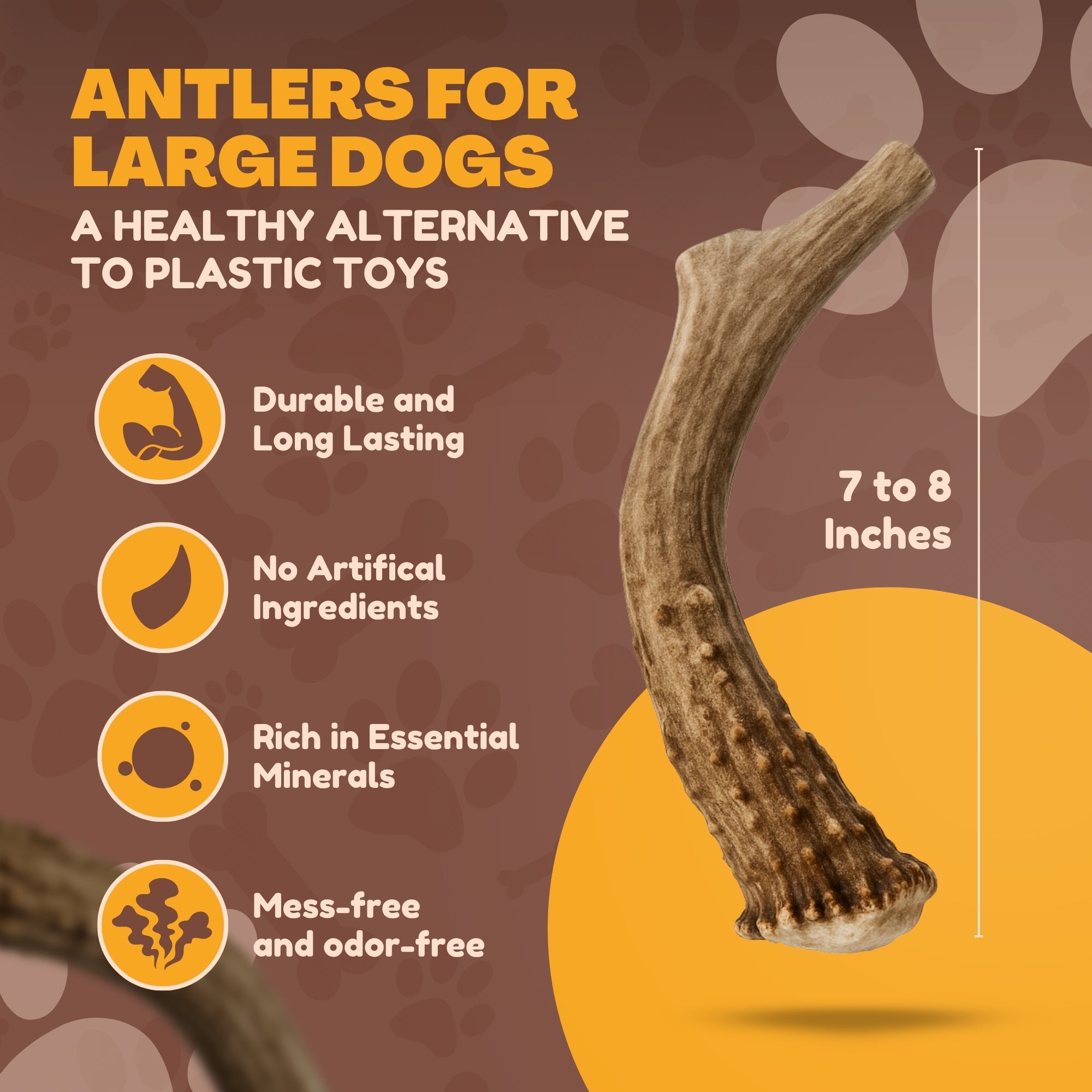 2 Pack - Extra Large | Deer Antler Dog Chews