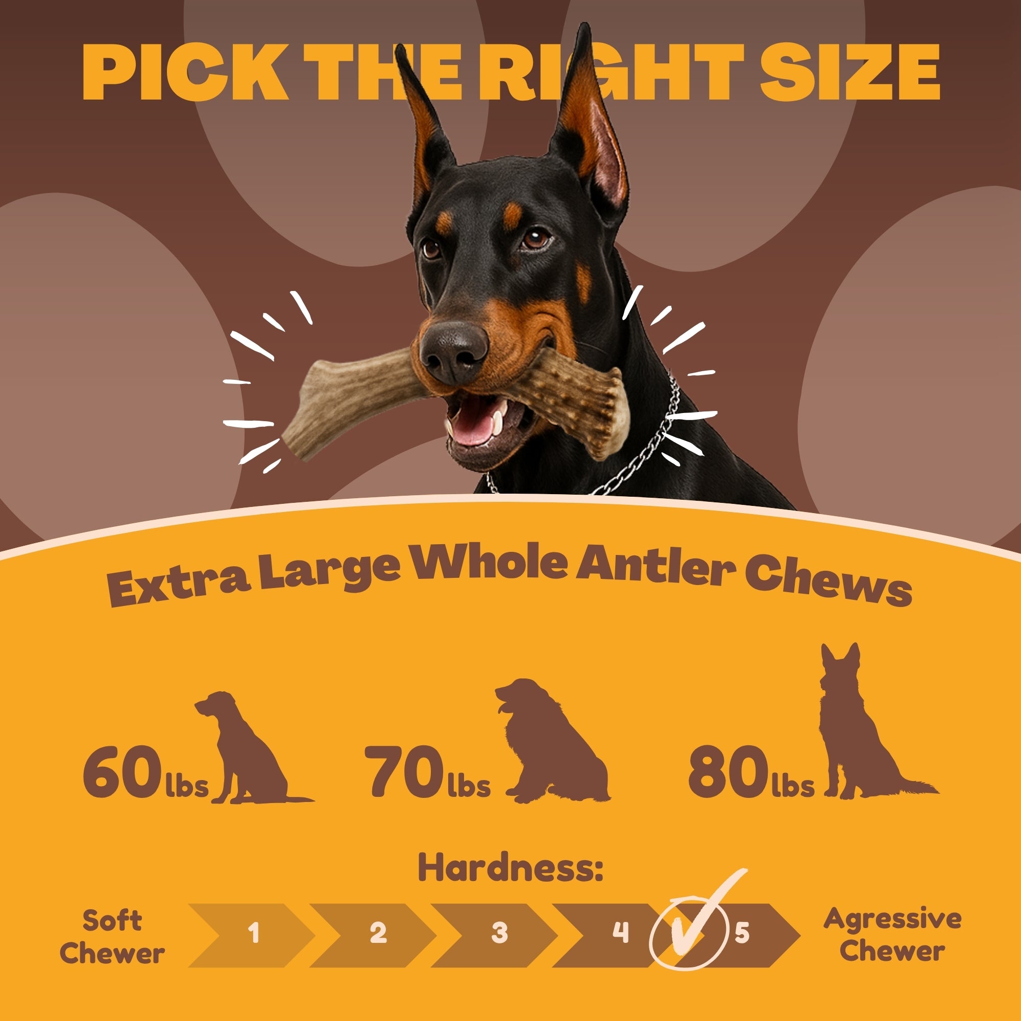 2 Pack - Extra Large | Deer Antler Dog Chews