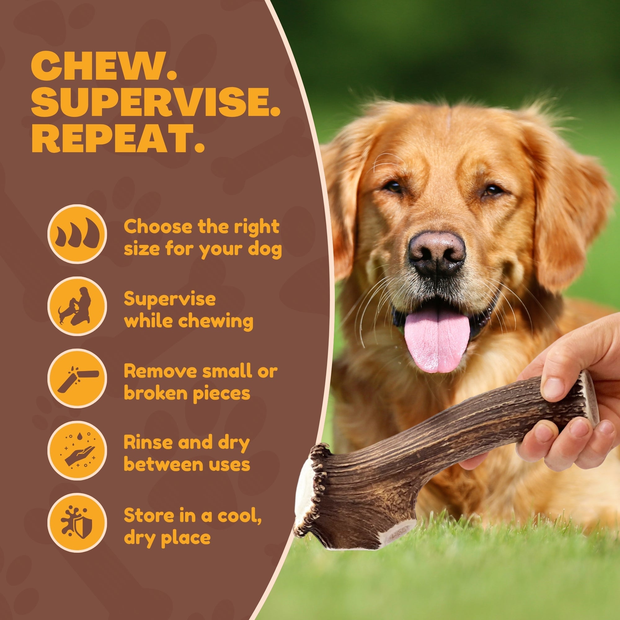 2 Pack - Extra Large | Deer Antler Dog Chews