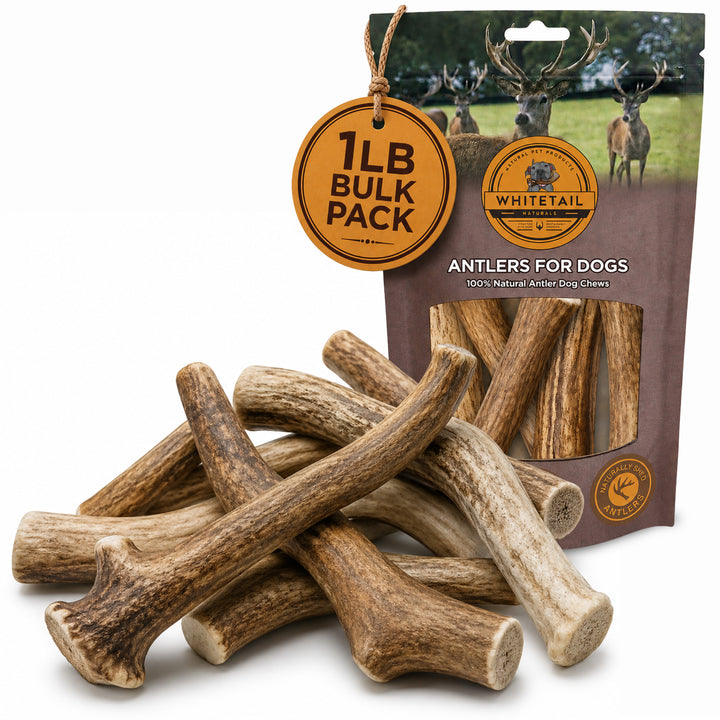1 lb Bulk Whole Deer Antler Dog Chews – Value Pack
