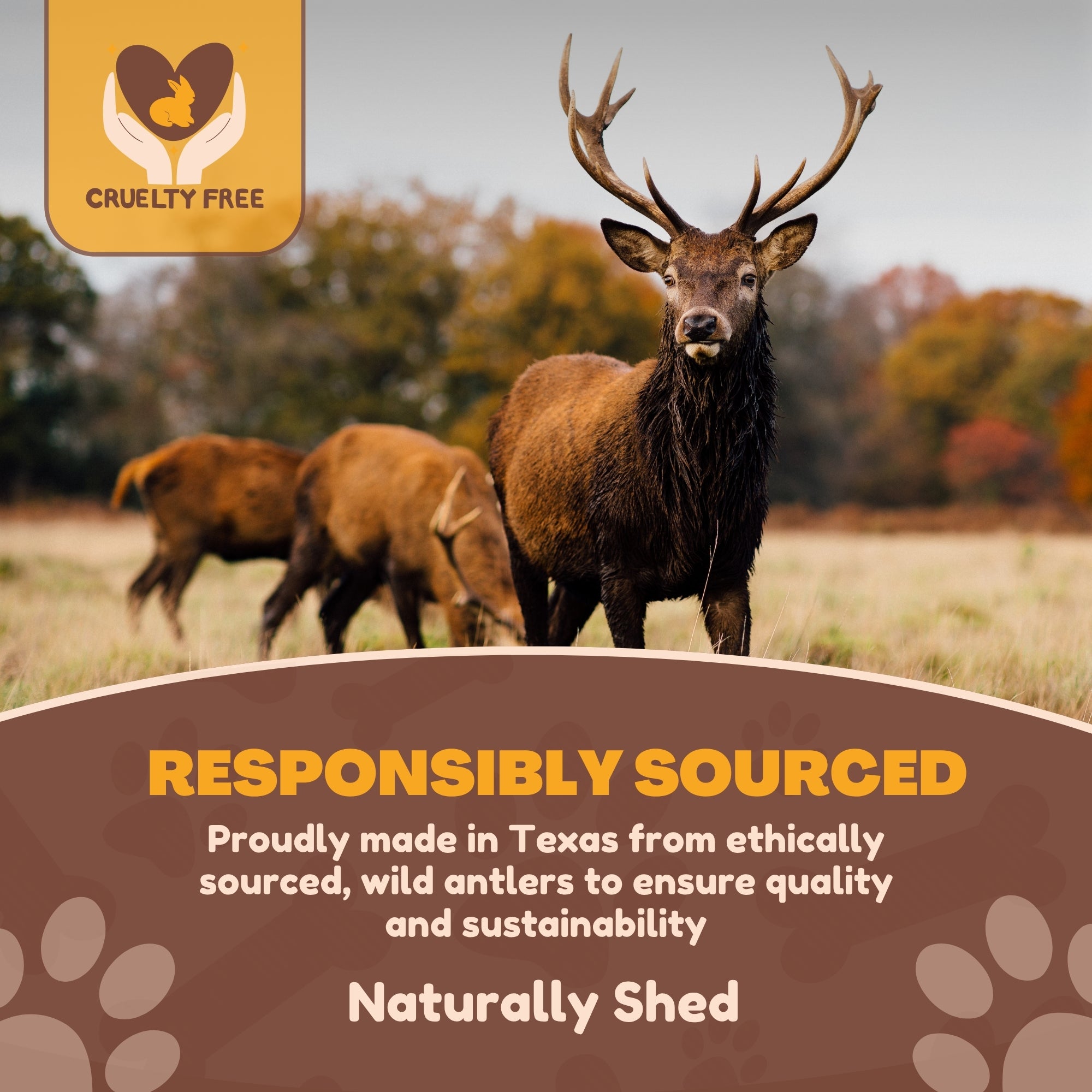 2 Pack - Extra Large | Deer Antler Dog Chews