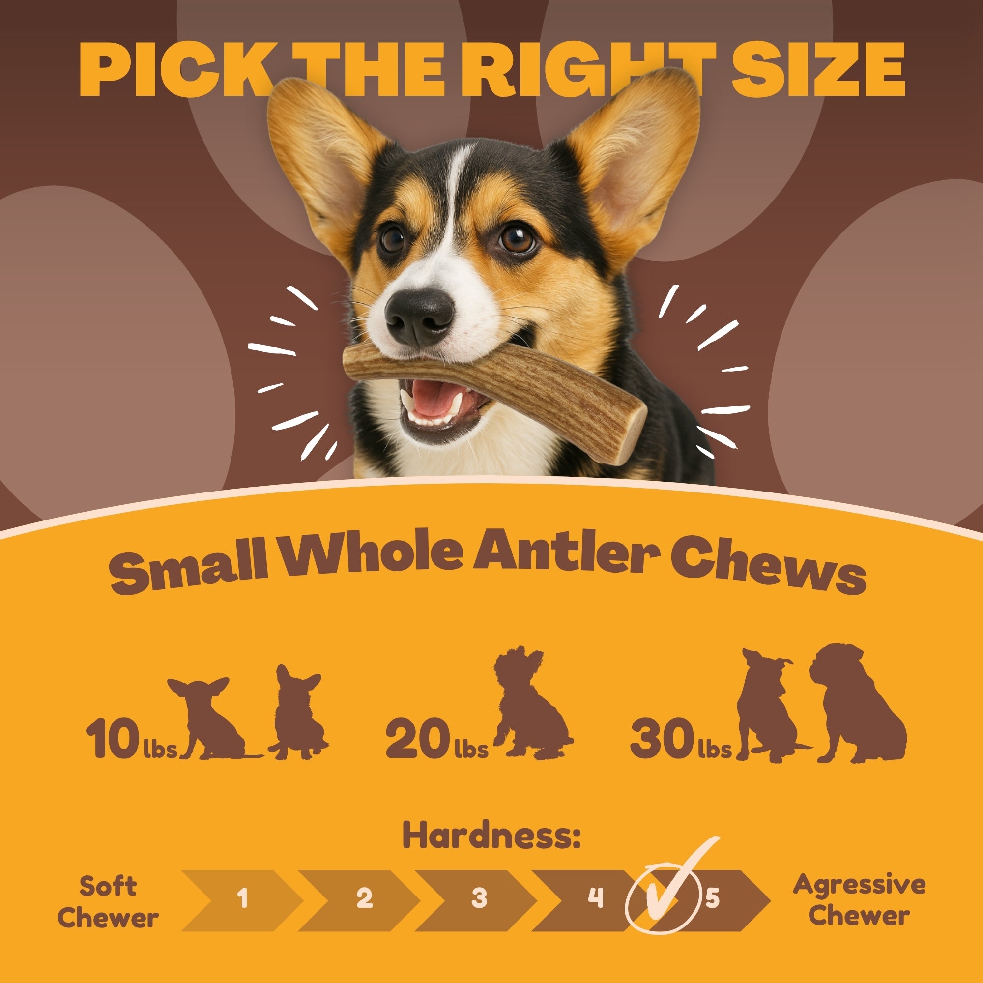 Small | Whole Deer Antler Dog Chews - Single or Multipack