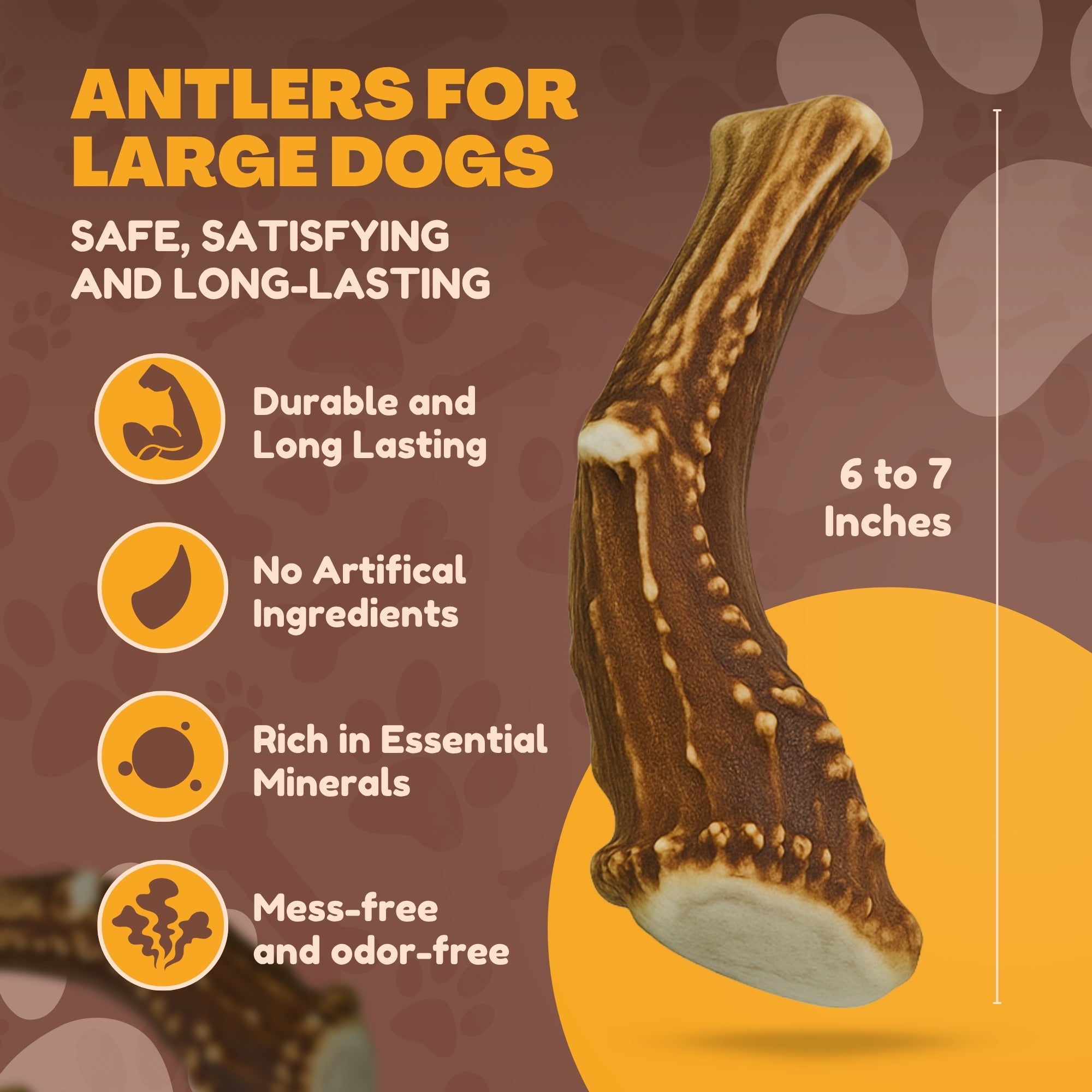 3 Pack - Large | Deer Antler Dog Chews
