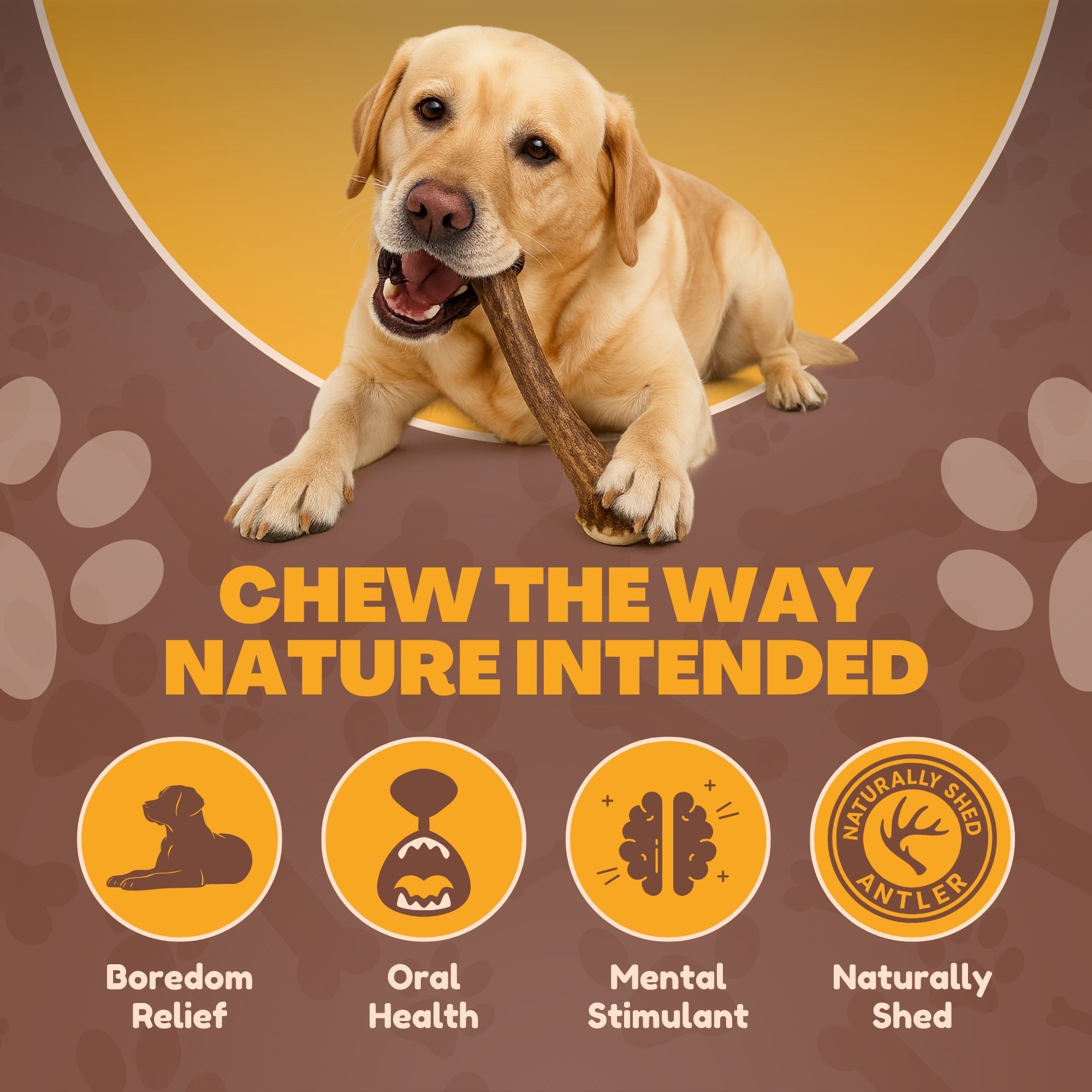 1 Pack - Extra Large | Whole Elk Antler Dog Chew