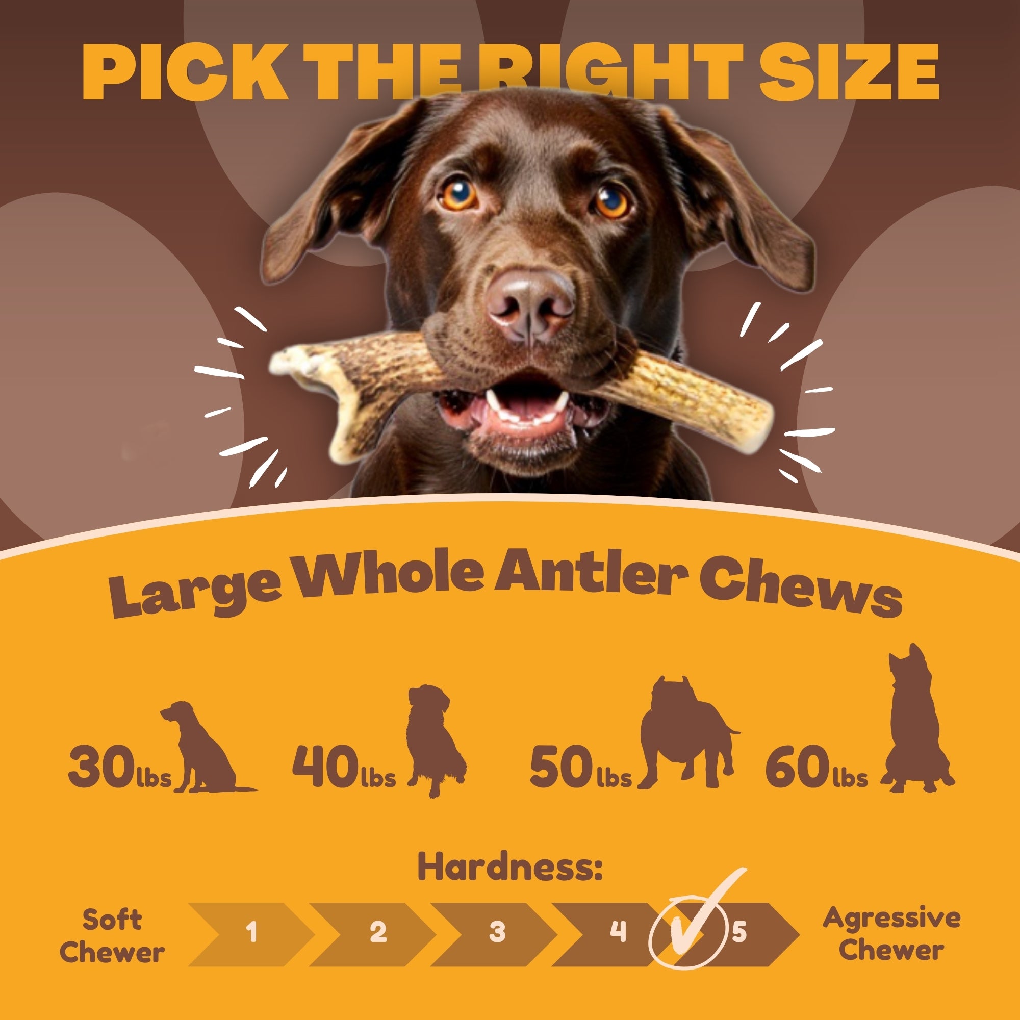 3 Pack - Large | Deer Antler Dog Chews