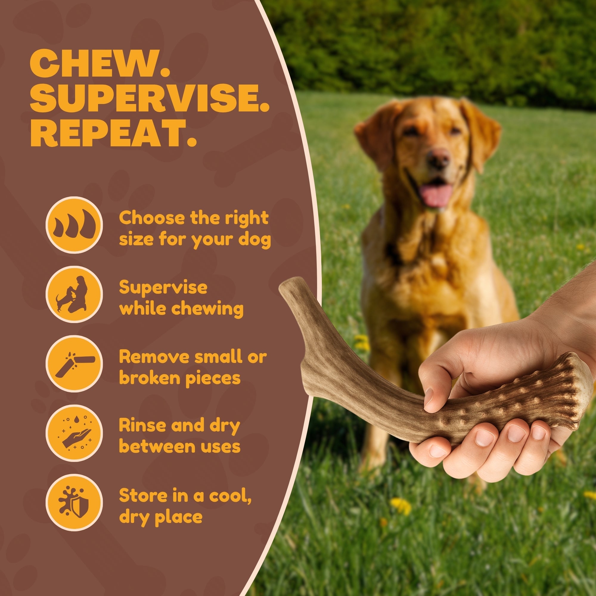 1 Pack - Extra Large | Whole Elk Antler Dog Chew