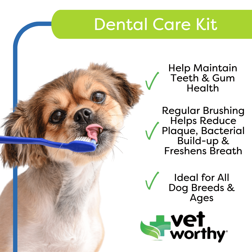 Vet Worthy -  Dental Kit - 1 Ct -