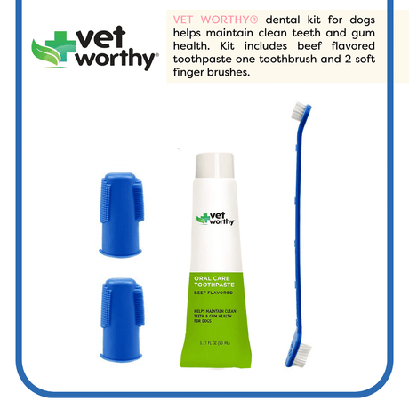 Vet Worthy -  Dental Kit - 1 Ct -