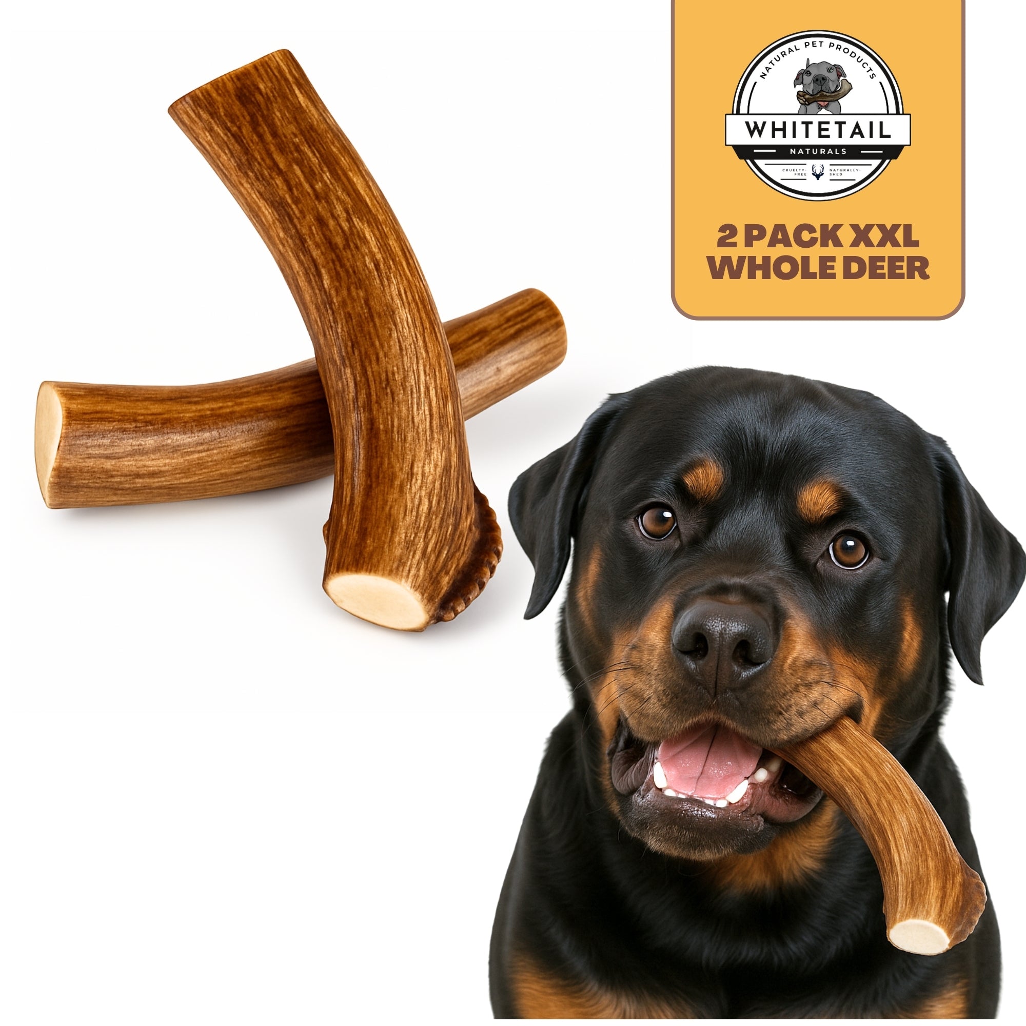 2 Pack - Jumbo - XXL | Deer Antler Dog Chew - 2XL