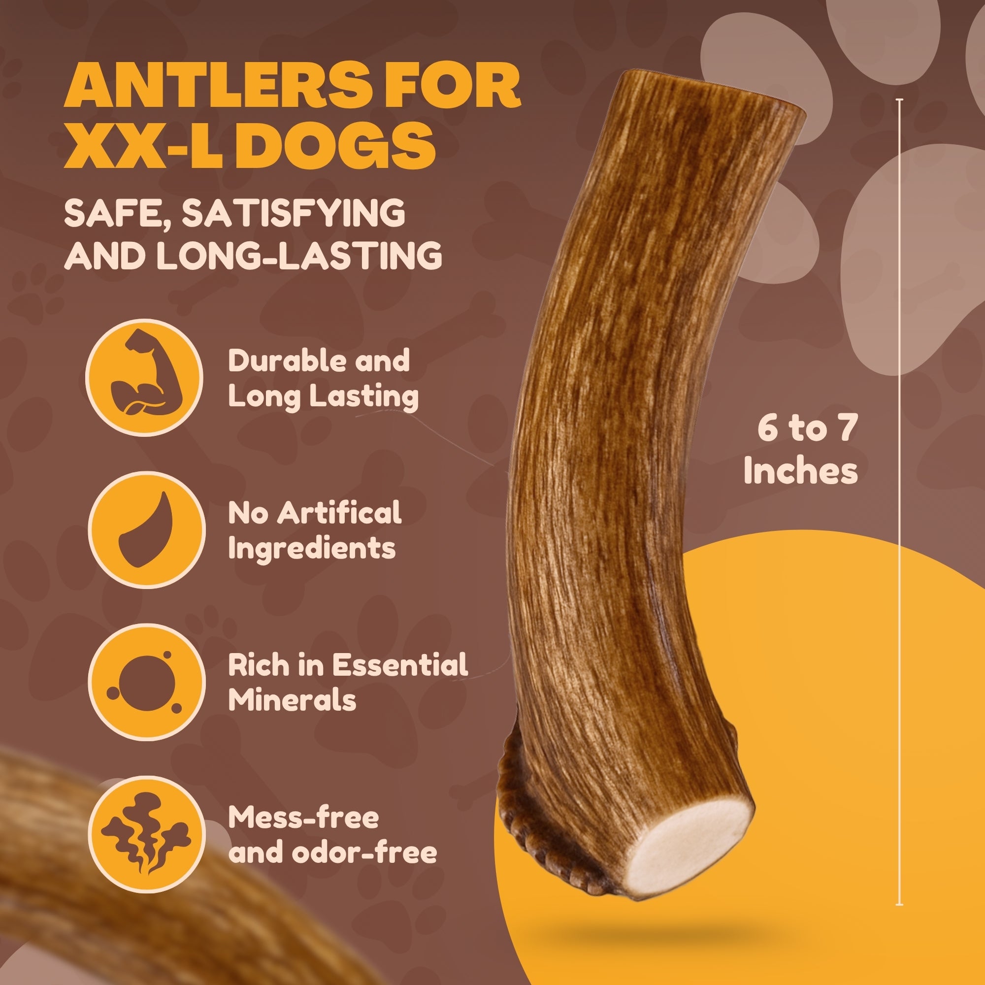 2 Pack - Jumbo - XXL | Deer Antler Dog Chew - 2XL