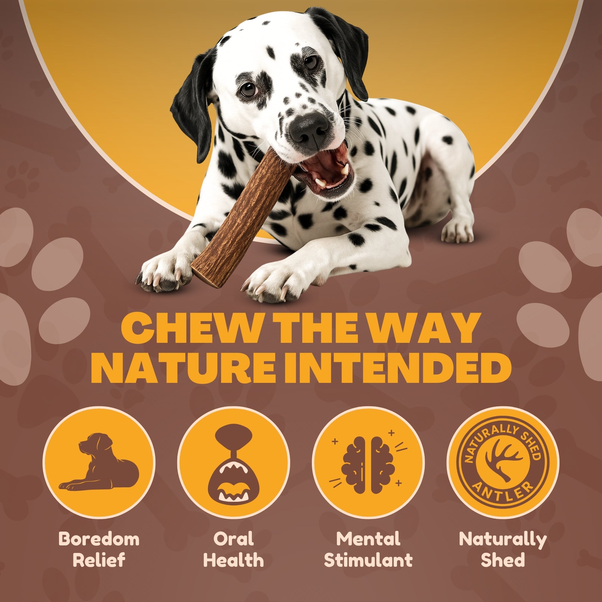 2 Pack - Jumbo - XXL | Deer Antler Dog Chew - 2XL