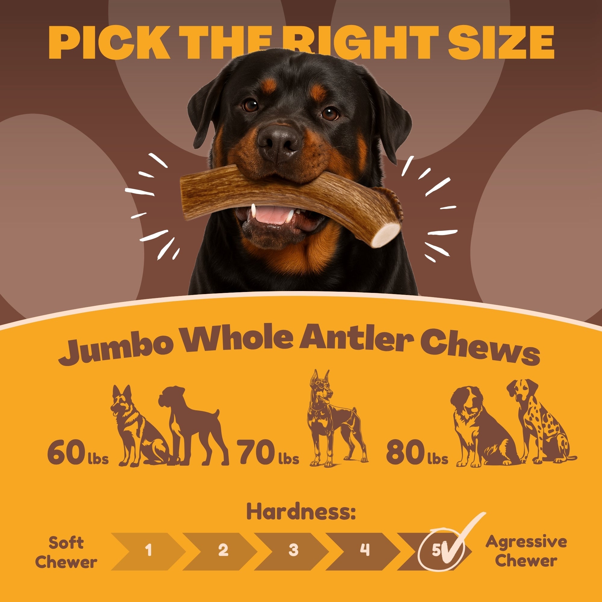2 Pack - Jumbo - XXL | Deer Antler Dog Chew - 2XL