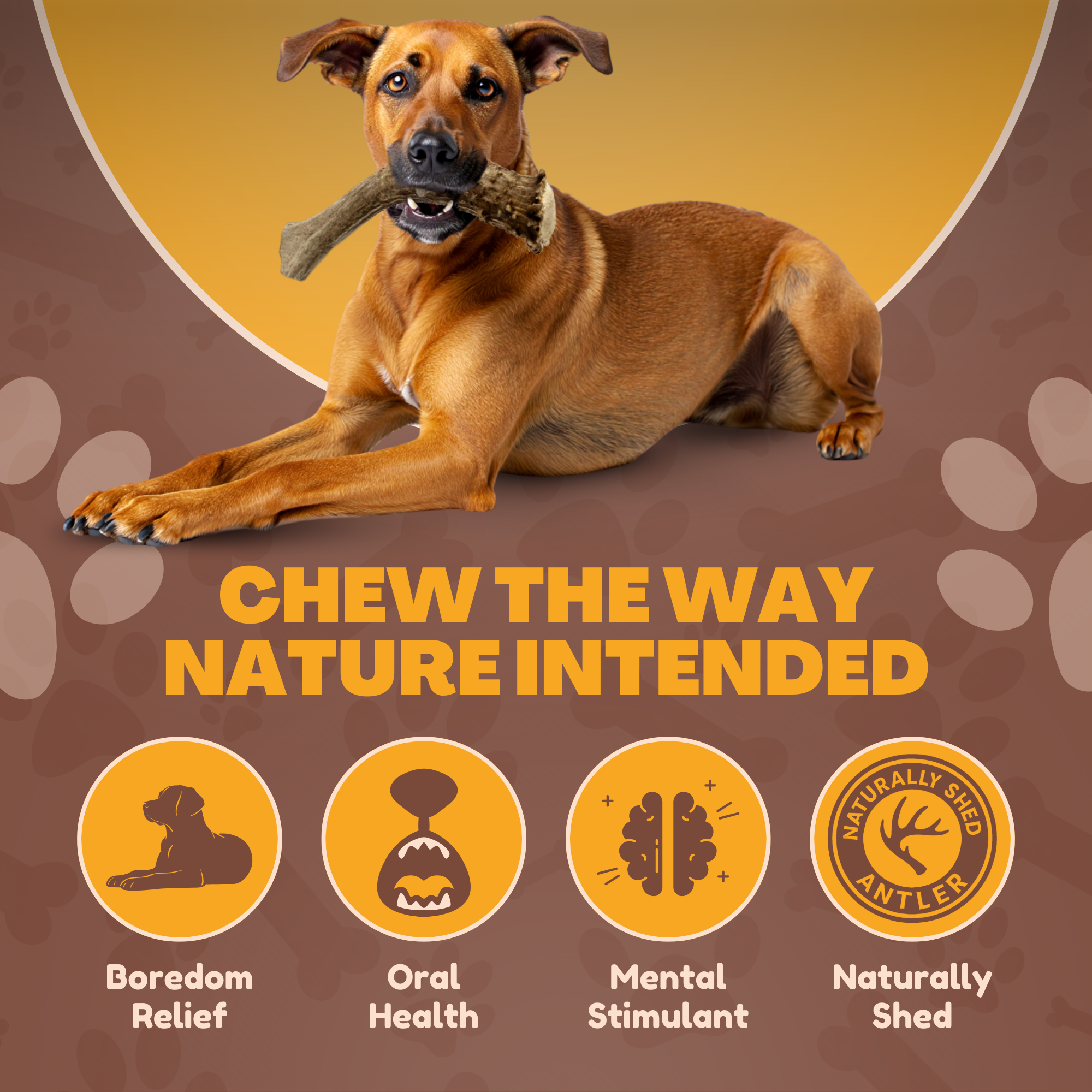 Monster - XXL | Deer Antler Dog Chew - Single or MultiPack