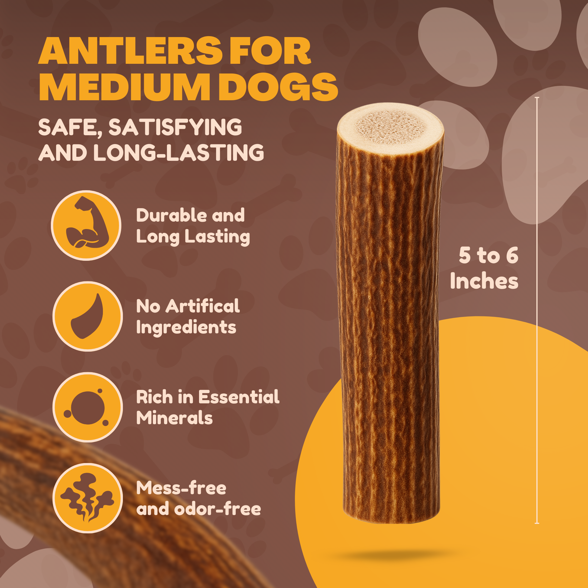 Medium | Whole Deer Antler Dog Chews - Single or Multipack
