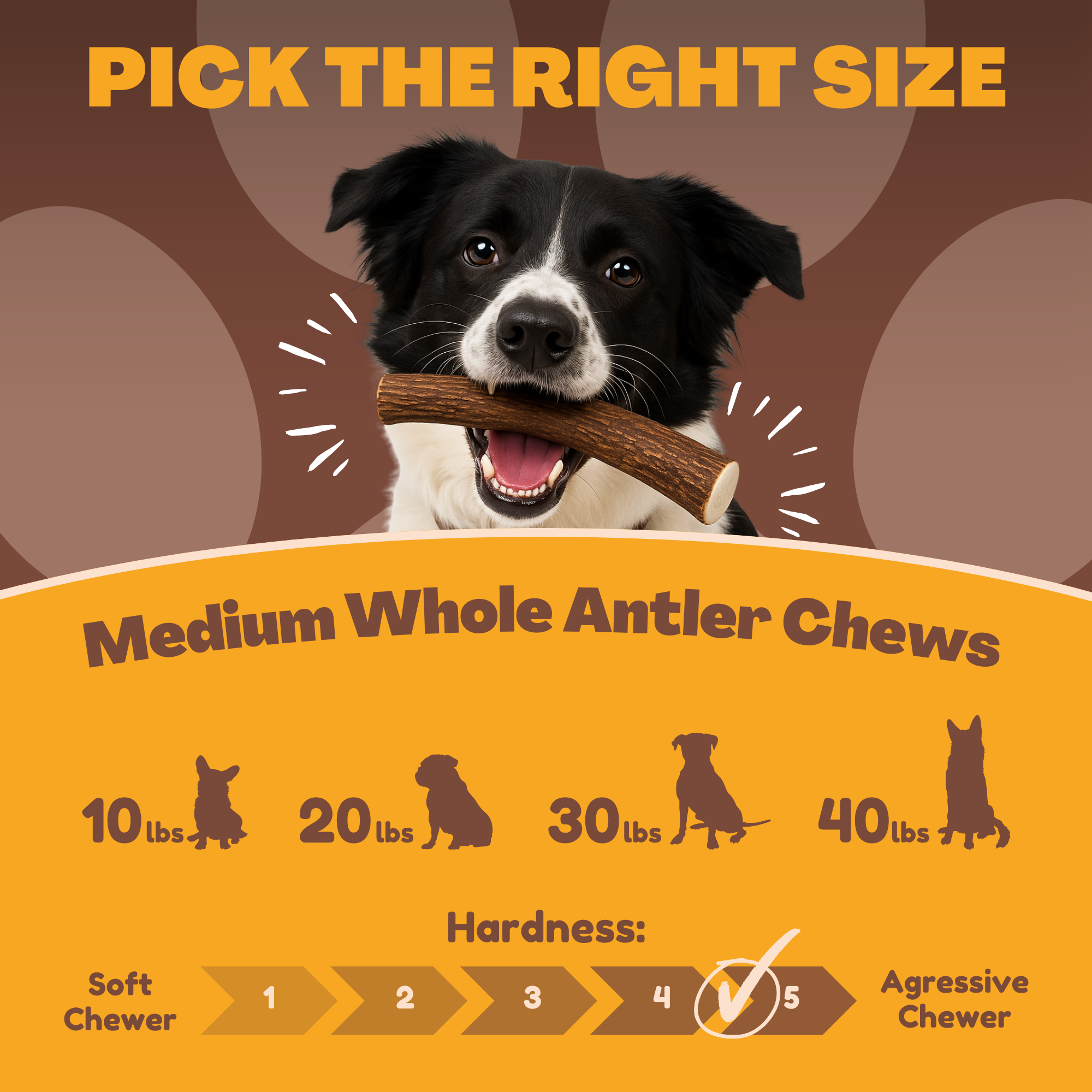 Medium | Whole Deer Antler Dog Chews - Single or Multipack