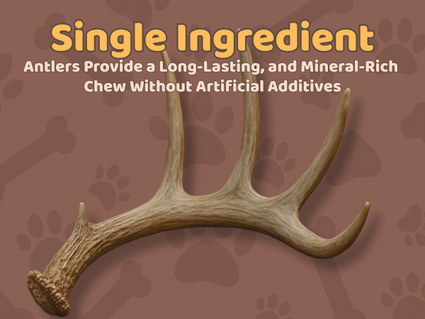 XL - Extra Large | Whole Elk Antler Dog Chew -Single or Multipac
