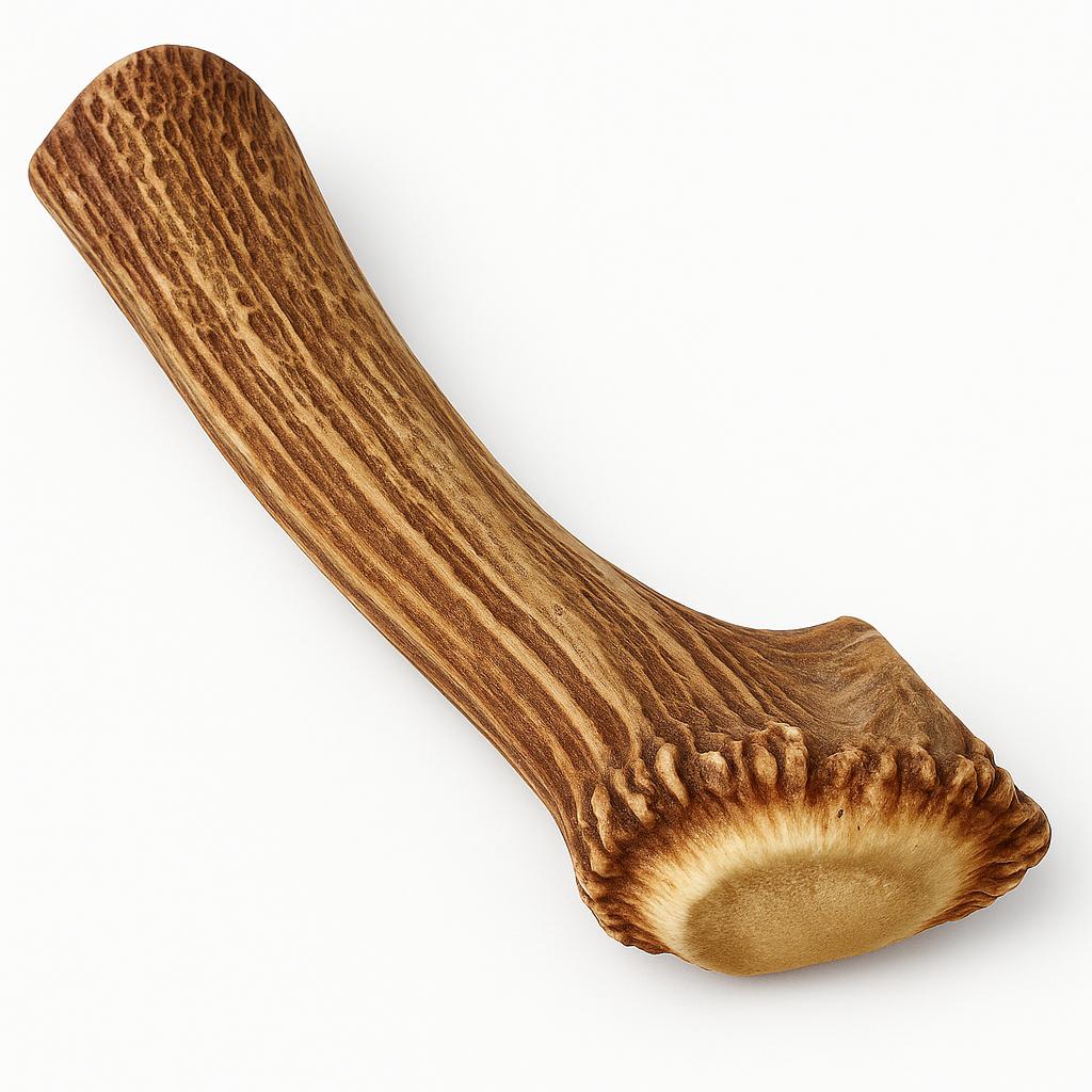 1 Pack - Extra Large | Whole Elk Antler Dog Chew