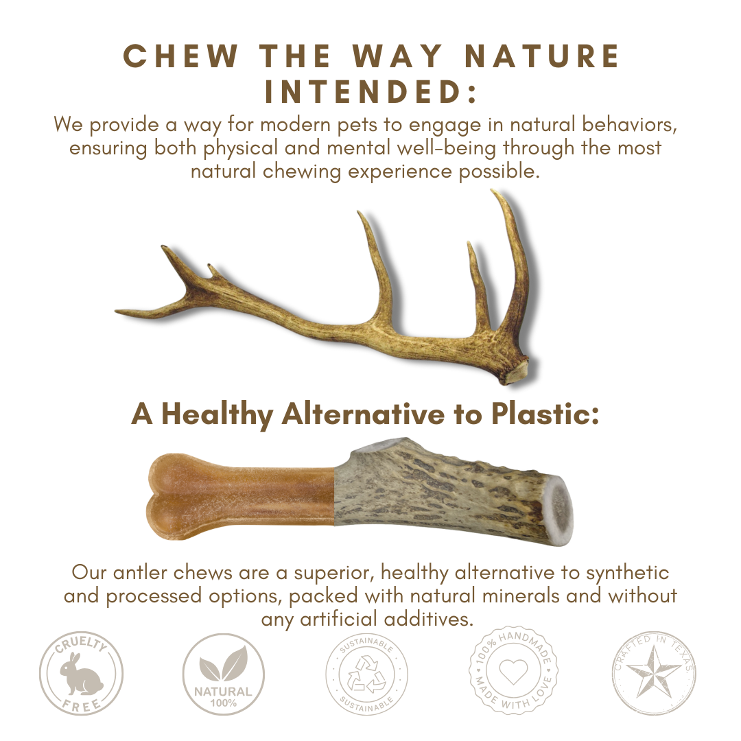 1 Pound Pack Bulk| Premium Elk Antlers Whole/ Split Mix