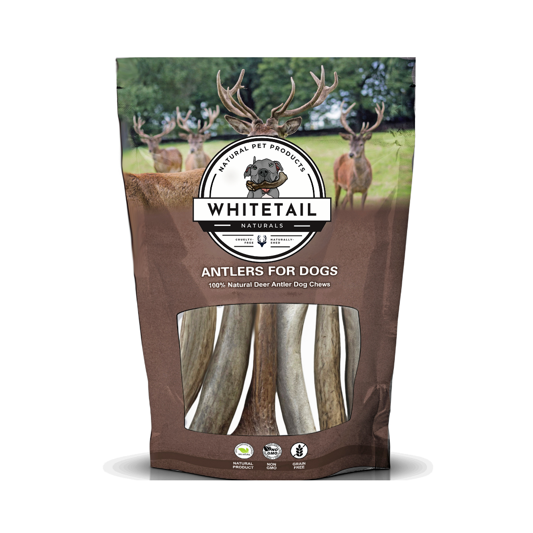 6 Pack - Medium | Deer Antler Dog Chews