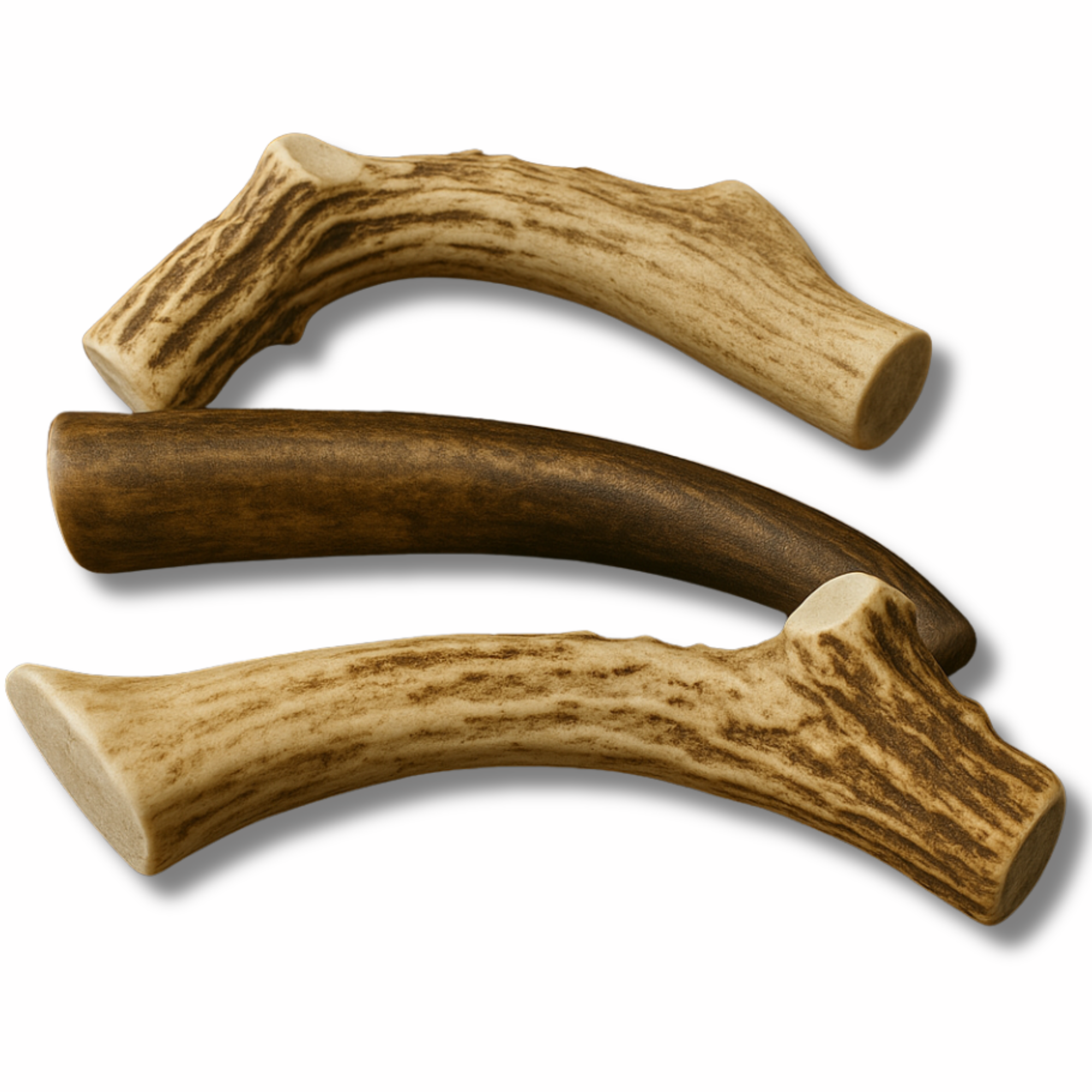 Medium | Whole Deer Antler Dog Chews - Single or Multipack