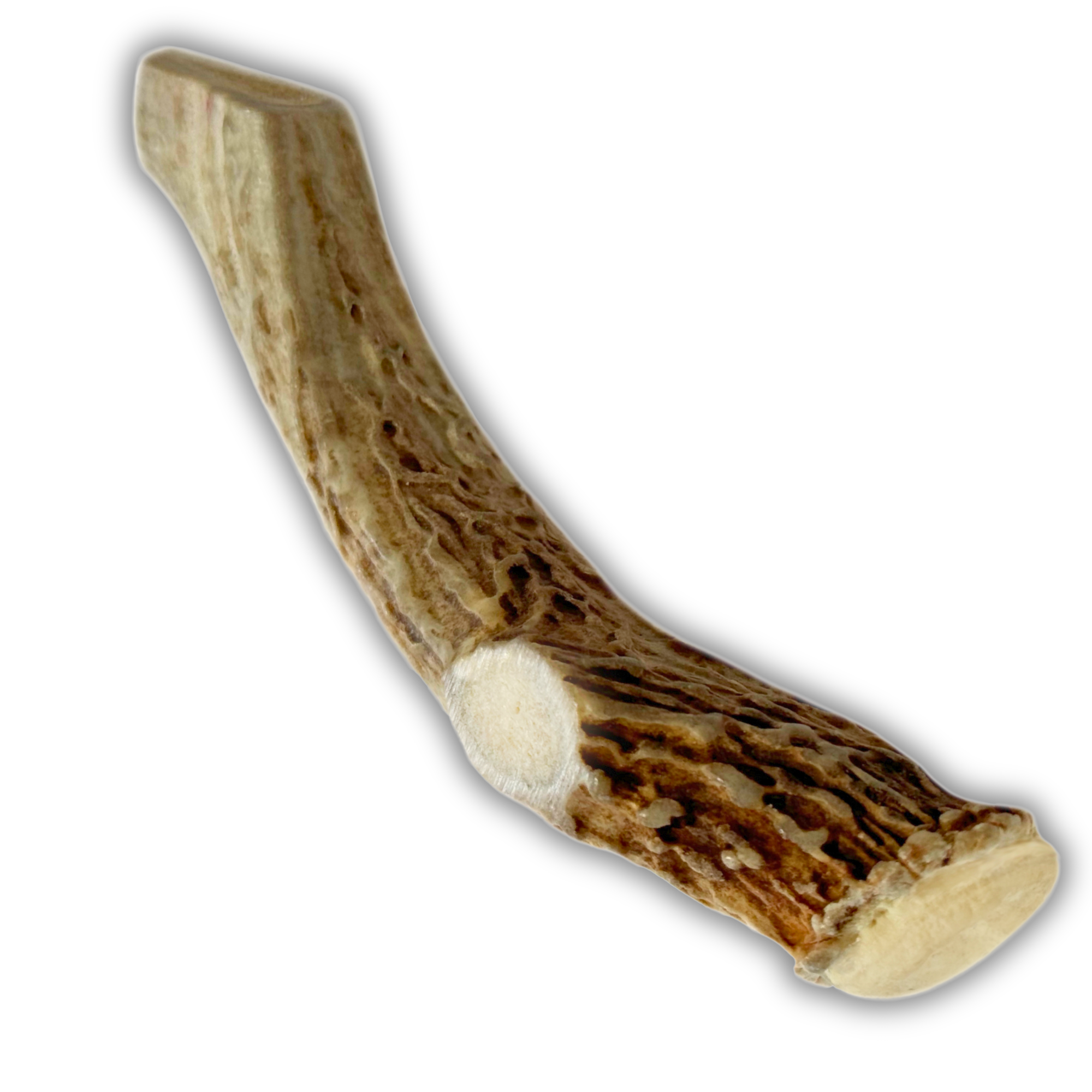 1 Pack - Large | Deer Antler Dog Chew