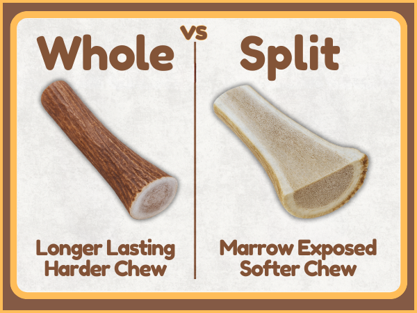 1 lb Bulk Mixed Elk Antler Dog Chews - Whole & Split Variety Pack