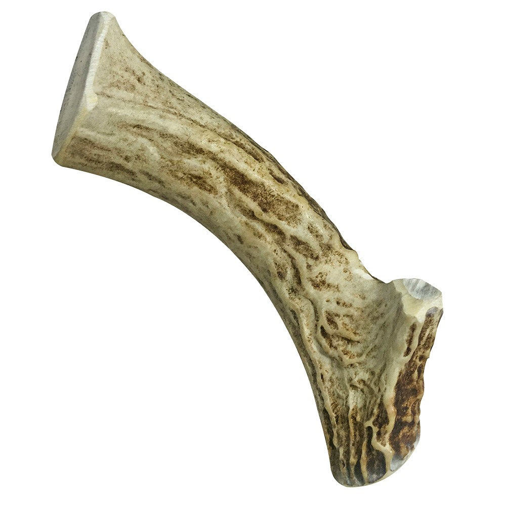 1 Pack - Medium | Deer Antler Dog Chews